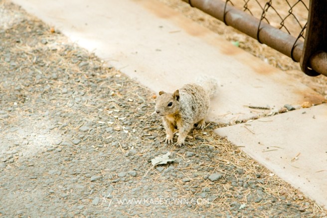 0035_Arizona_Grand Canyon_WEB