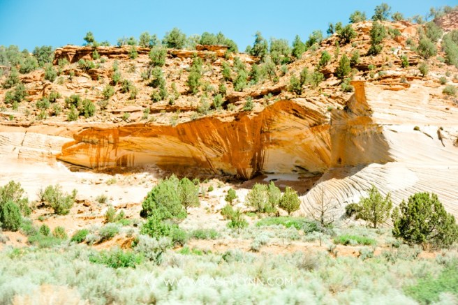 0121_Utah_WEB