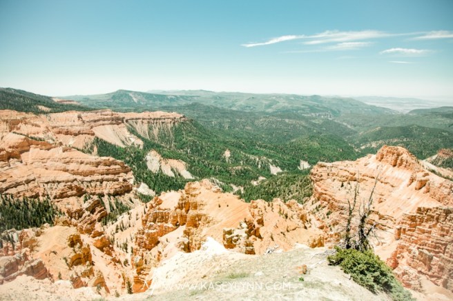 0138_Utah_Cedar Breaks_WEB